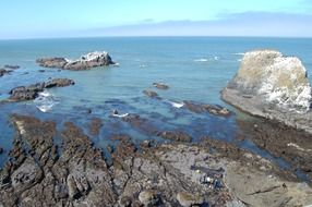 Beautiful ocean in Oregon