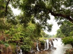 natural waterfalls in the jungle