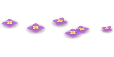 graphic purple flowers on a white background