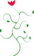 flower with green curve plant vector drawing