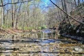 ohio forest river