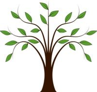 Trees with the leaves in the forest clipart