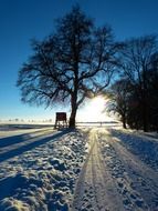 wintry road evening view