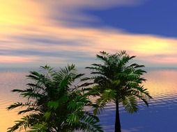 picture of the palms on ocean coast