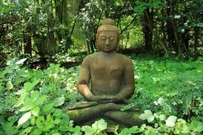 stone buddha statue among green grass in nature