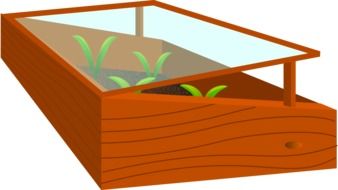 seedlings in wooden box greenhouse, drawing