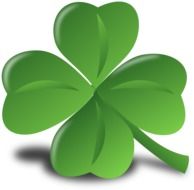 four leaf clover on the white background