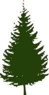 clipart of spruce conifer tree