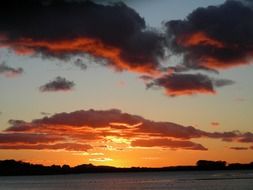 a flock of geese on the background of an orange sunset in Scotland