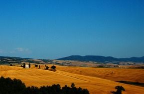 panoramic view of the yellow field in tuscany