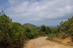 dirt road in mountains