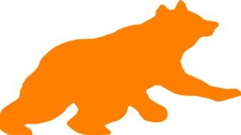 bear orange silhouette drawing