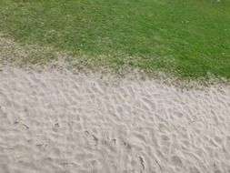 picture of the grass on a sand