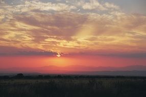 beautiful pink sunset over the field