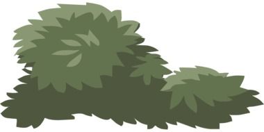 graphic drawing of a green shrub