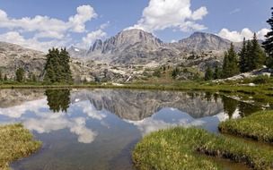 beautiful summer landscape, mountains and forest at lake