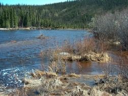 yukon river alaska