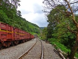 railway with green trees around the edges