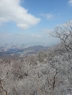 Panorama of the beautiful mountain with trees in snow in winter