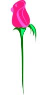 graphic image of a pink rose on a green stalk