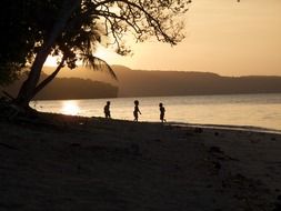 ocean bank at the sunset