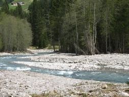 creek in a mountain valley on a sunny day