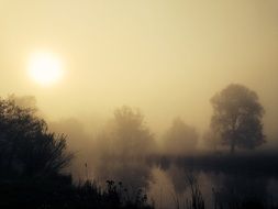 morning fog over the lake in the rays of the rising sun