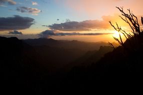 sunset forest jungle