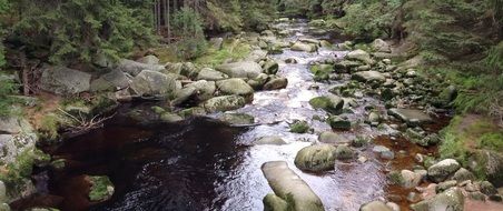 stones in the stream in the Czech Republic