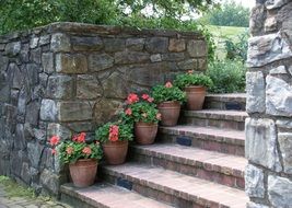 flower pots on stone stairs