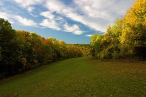 deciduous forest in the colors of autumn