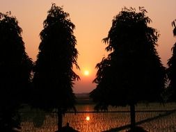 Landscape of golden sunset