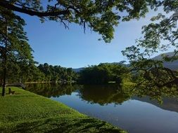 sunny idyllic morning over the lake