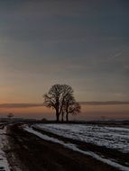 Picture of the wintry path landscape