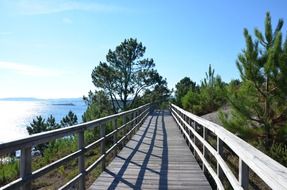 Landscape with the wooden bridge in summer
