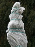 protection from cold for plants in the winter