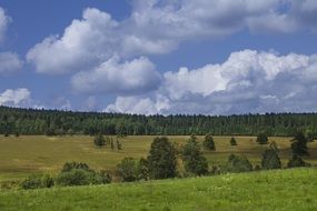 picturesque meadow under a cloudy sky