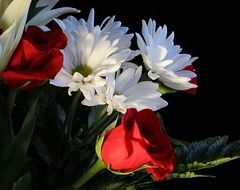 Beautiful white daisies and red roses with green leave in the bouquet