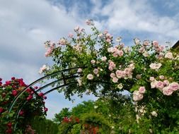 flower arches as decor