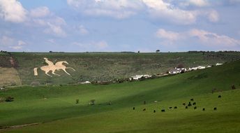 King image in the saddle on a hill in Weymouth