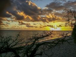 dawn over Heron island