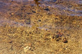 river bottom through clear water