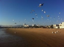 santa monica beach, california