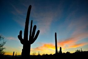 enchanting arizona sunrise