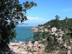 rocky fish cove