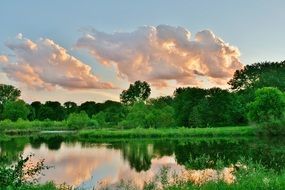 clouds reflected in a pond among green trees