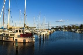 boats in the port of copenhagen