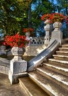 picture of flowers on a staircase