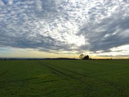 white clouds over a green field