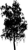 tree black as a drawing